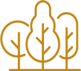 Tree Icon Icon with trees